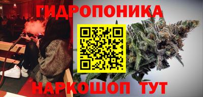 гашик Пушкино