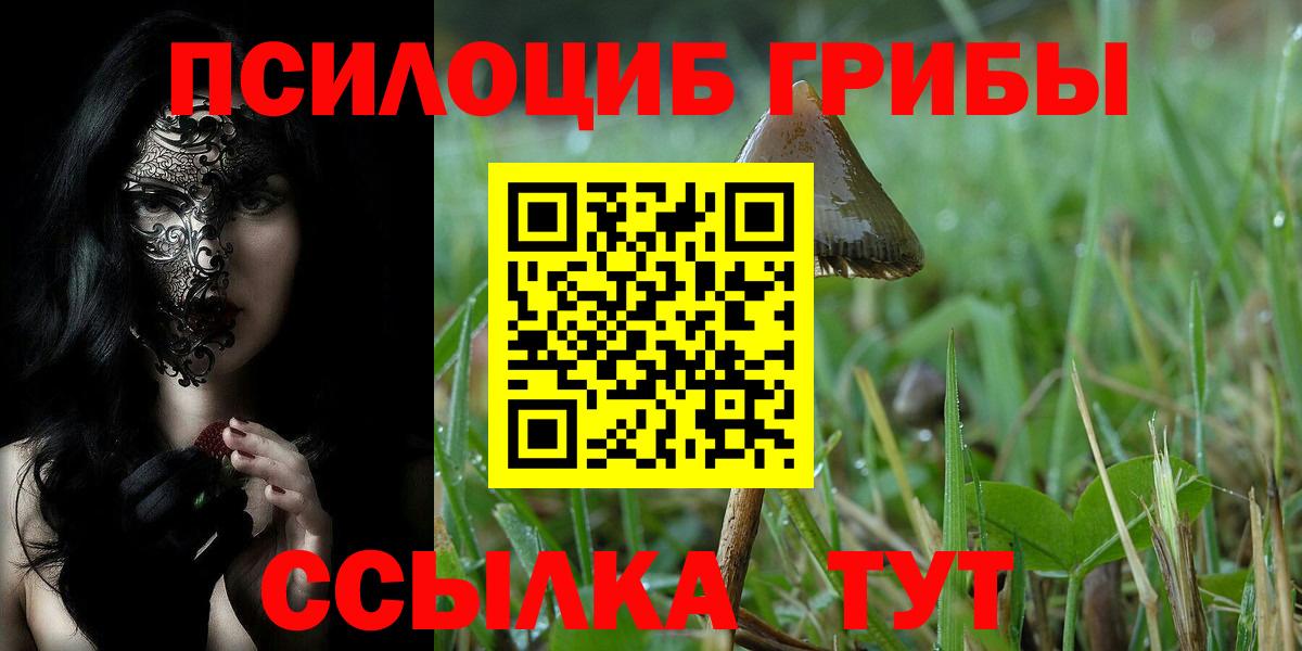 Галлюциногенные грибы Magic Shrooms  Вход с VPN  Ртищево 