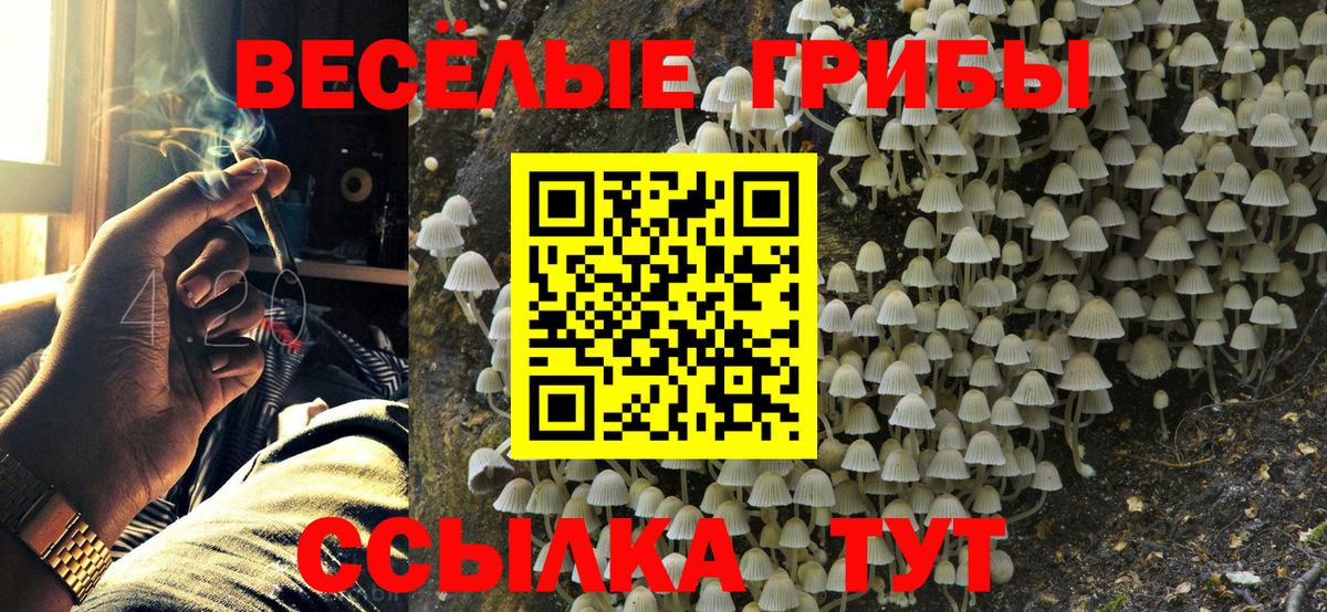Галлюциногенные грибы мицелий Ртищево
